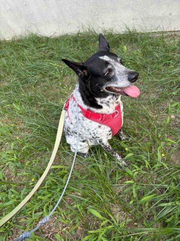 台中❤️快樂寶貝媽咪家 - 