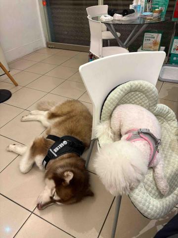 台中❤️快樂寶貝媽咪家 - 晚餐後休息片刻