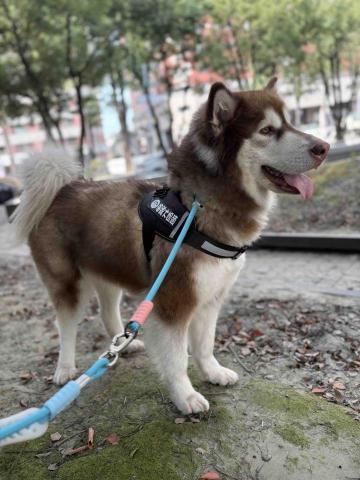 台中❤️快樂寶貝媽咪家 - 漂亮寶貝～^_^舒服散步