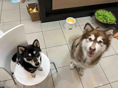 台中❤️快樂寶貝媽咪家 - 有禮貌～^_^的等待吃點心