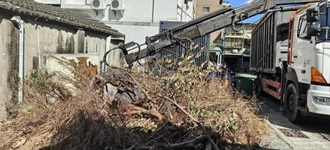 廢棄物清理 - 廢樹木清理