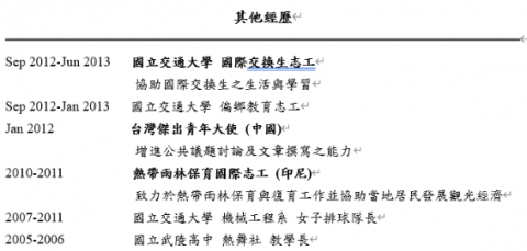 KarenKing - 其他國際經歷