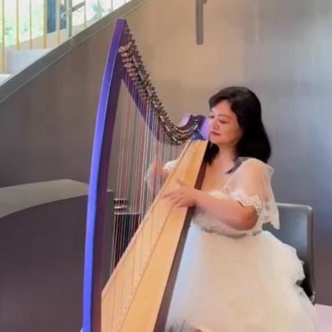 台中西區豎琴老師推薦賴薇伊