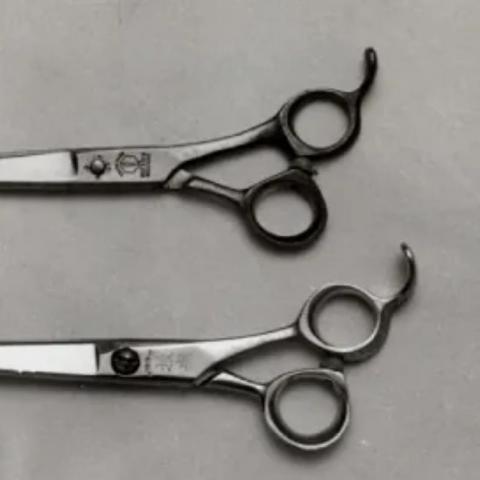 提供剪髮剪刀服務的專家陳志玲