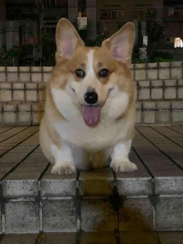 提供工作家庭代工桃園市服務的專家蘇繹文