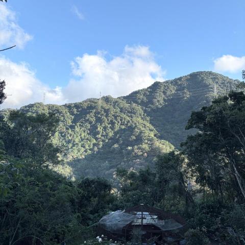 提供代購服務的專家張曜承