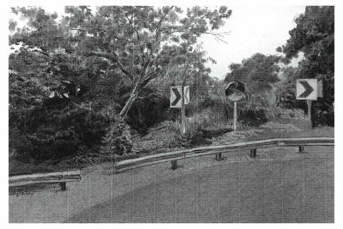 張書瑋 - 風景炭筆素描