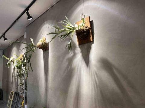 小豪 - 樂土清水模與植物燈