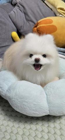 徐晏緹 - 樂樂超棒超可愛的♡