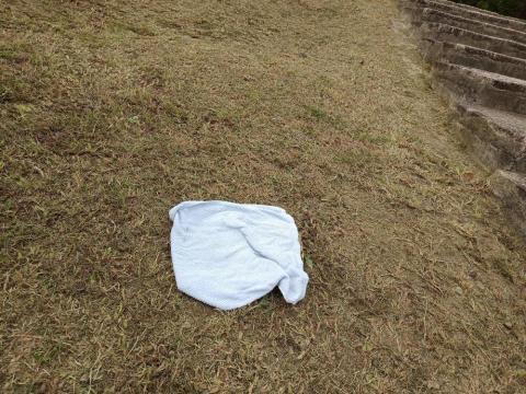 提供劉嘉雯官司服務的專家葉秀雯