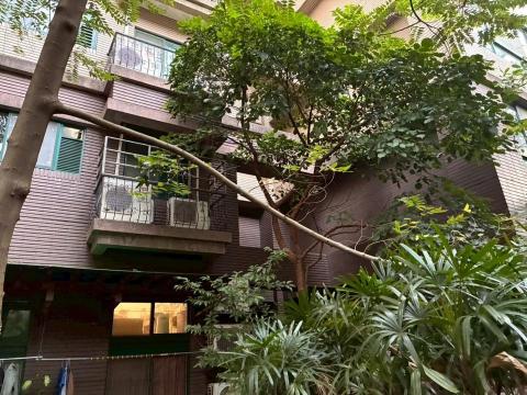 楓橋 - 台北士林新天地樹木移除