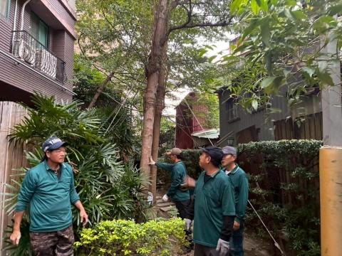 楓橋 - 台北士林新天地樹木移除