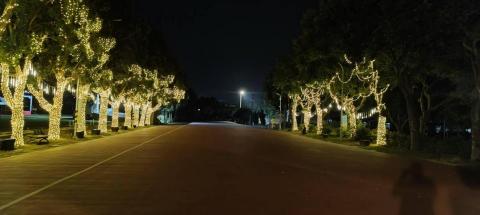 林志諺 - 佈置兩層樓高的繞樹燈