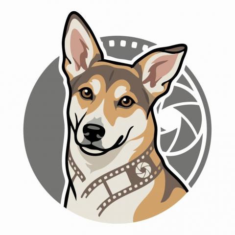 Pup-AI｜AI影像工作室