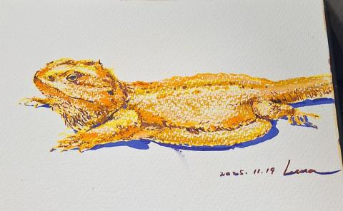 顏毓聆 - 寵物蠟筆寫生