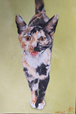 顏毓聆 - 水彩寵物肖像