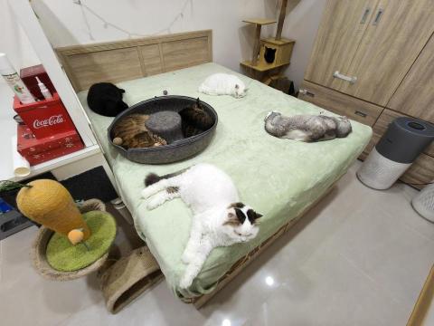 周喵喵整潔室 - 