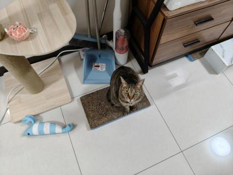 周喵喵整潔室 - 