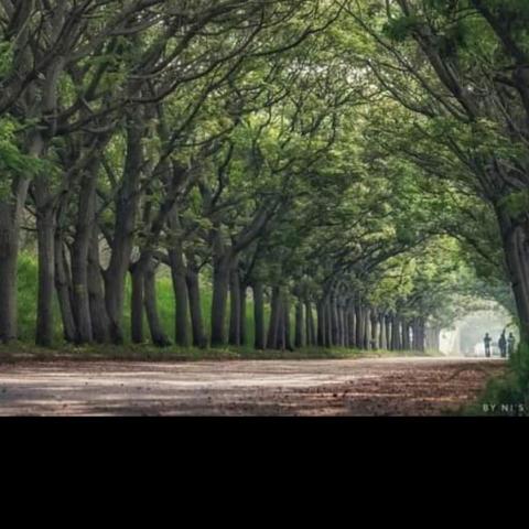 提供irent審核服務的專家na ha