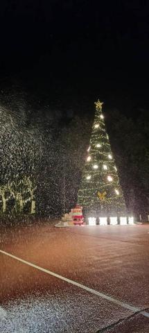 林志諺 - 苗栗耶誕城聖誕樹