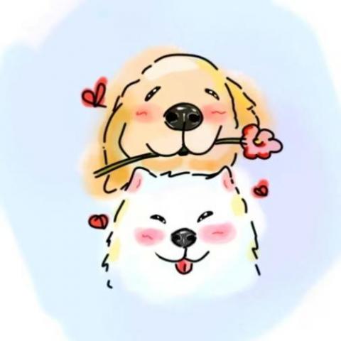 ChungMSSS - 金毛與薩摩耶情頭