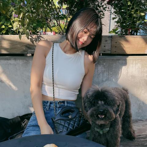 提供寄養狗服務的專家Ellie Chiu