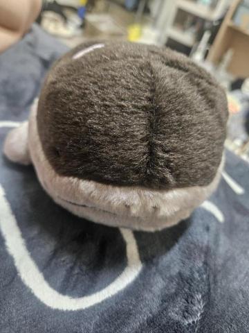 提供動漫avbb服務的專家Vivian Tsai