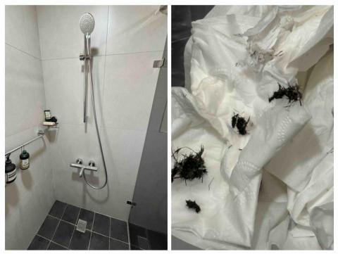 阿榮師父水電工程 - 12/2 恆溫龍頭熱水水量很小 清理曲腳過濾網
        （完工）