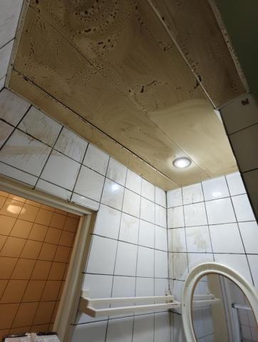 潘彼得 - 洗手間天花板清洗前