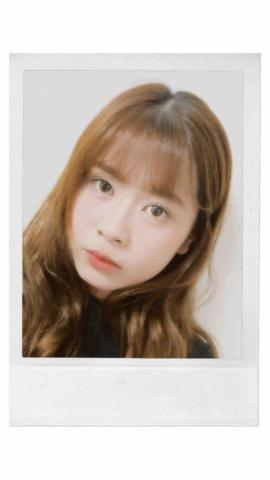 提供diy染髮劑服務的專家陳欣