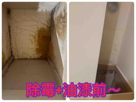 ༻忻ꨄ 承🝮 企業社 油漆工程ꕥ清潔服務🝮 ꧂ - 三重除霉+油漆前～