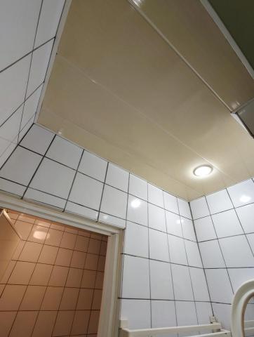 潘彼得 - 洗手間天花板清洗後