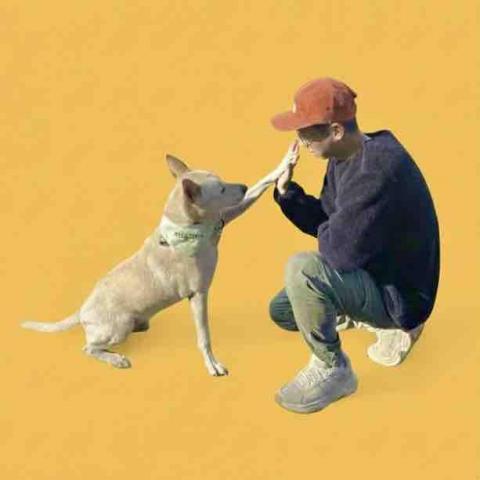 狗狗行為訓練師 - 李歐LEO