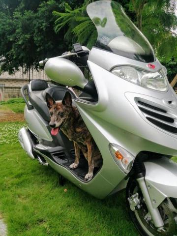 提供房間滑門服務的專家木工修繕