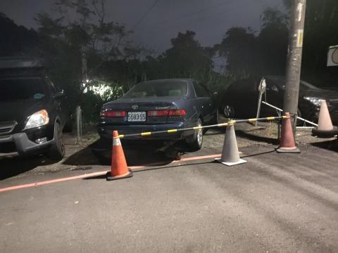 楊小姐 - 每天山上餵食浪貓