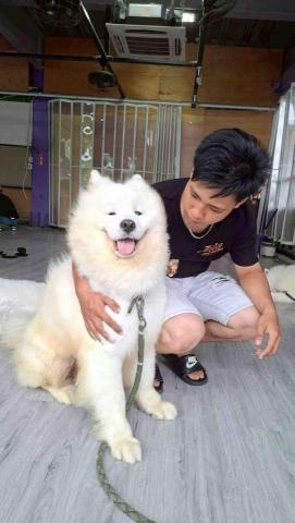 提供冷氣不冷服務的專家何宗穎