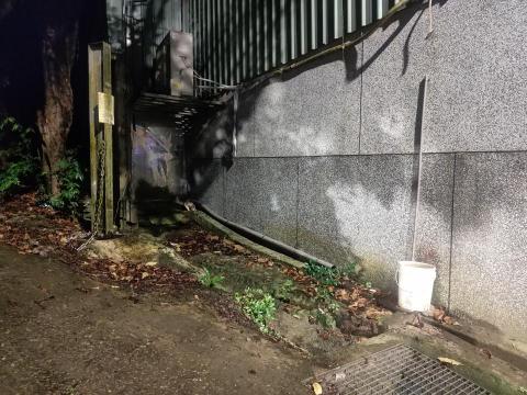 楊小姐 - 每天山上餵浪貓罐頭飼料肉泥 至少每月自掏腰包3-4000以上 