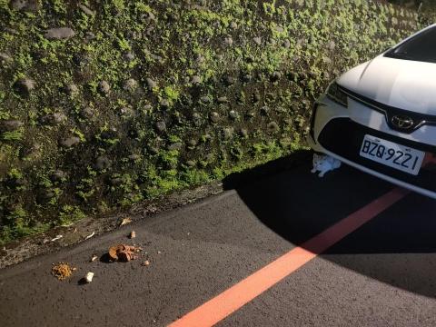 楊小姐 - 每天山上餵浪貓罐頭飼料肉泥 至少每月自掏腰包3-4000以上 