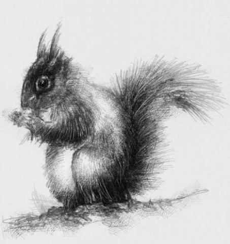 提供ppt製作方法服務的專家繪畫設計