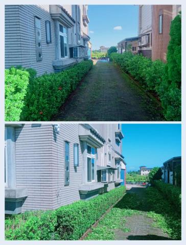 樊藝園藝 - 灌木修剪