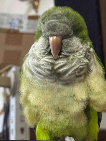 提供中古家具行服務的專家美樂家中古電器行