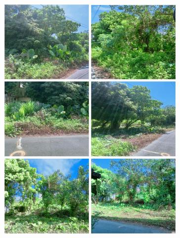 樊藝園藝 - 環保除草