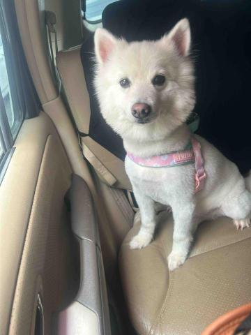 I Na - 只要出門也會帶著出去玩