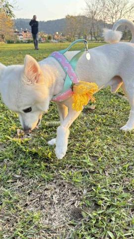 I Na - 開心的出去散步&hearts;️