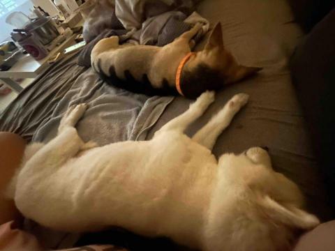 I Na - 小朋友都在一起睡覺?