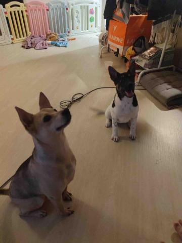 I Na - 一起乖乖等零食