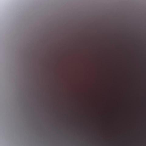 宜蘭家庭代工推薦張芳宜