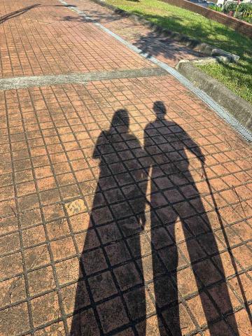 徐芯 - 陪伴、外出散步