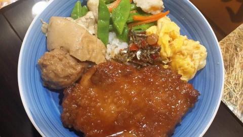 張心柔 - 滷排骨飯