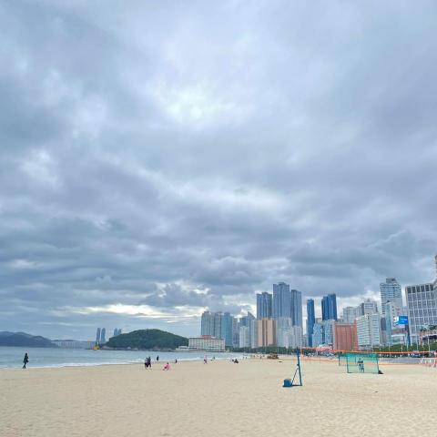 提供永康花店服務的專家林雨錡